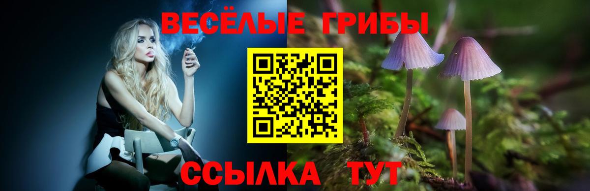 Псилоцибиновые грибы мухоморы  Вход с VPN  даркнет сайт  Рязань 